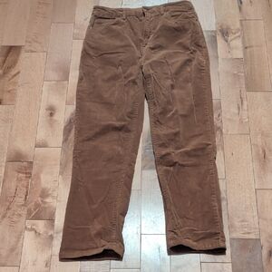 Sanctuary Cords. NWOT